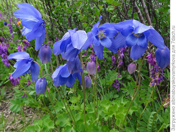 чуть потемнее были