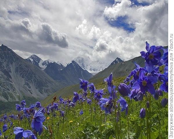 а эти очень похожи