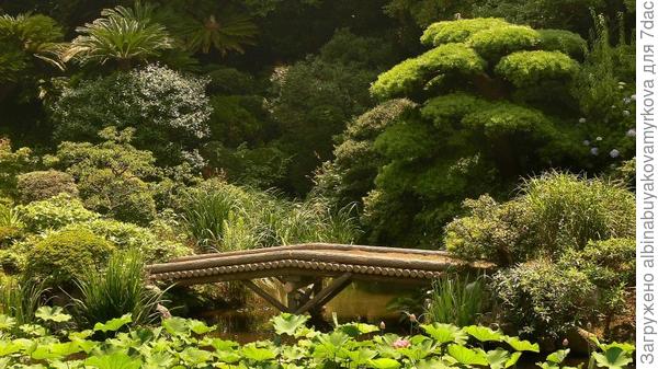 Этот с накатанными брёвнышками посложнее, но мне тоже нравится