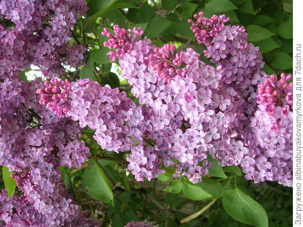 Мои поздравления всем!