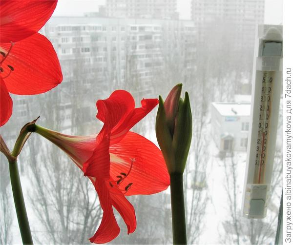 ......уже потеплело!