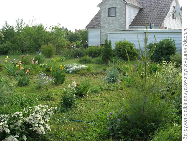 моя Веймутова в 2014 году