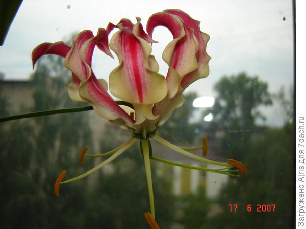 Далекий 2007 год