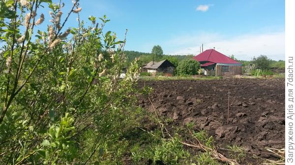 Наши просторы с дальнего угла участка
