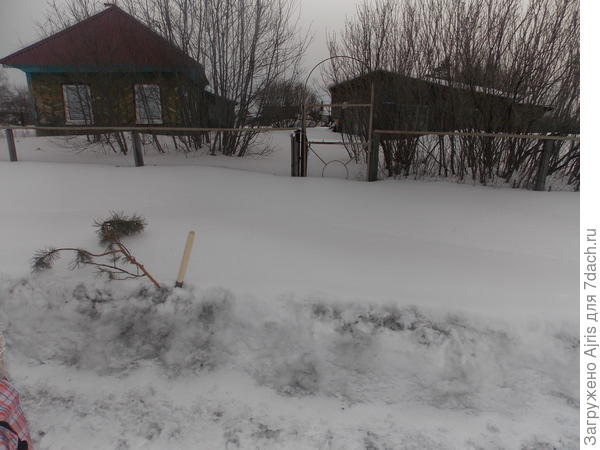 Ну вот и приехали