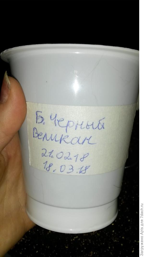 Дата посева и пересадки
