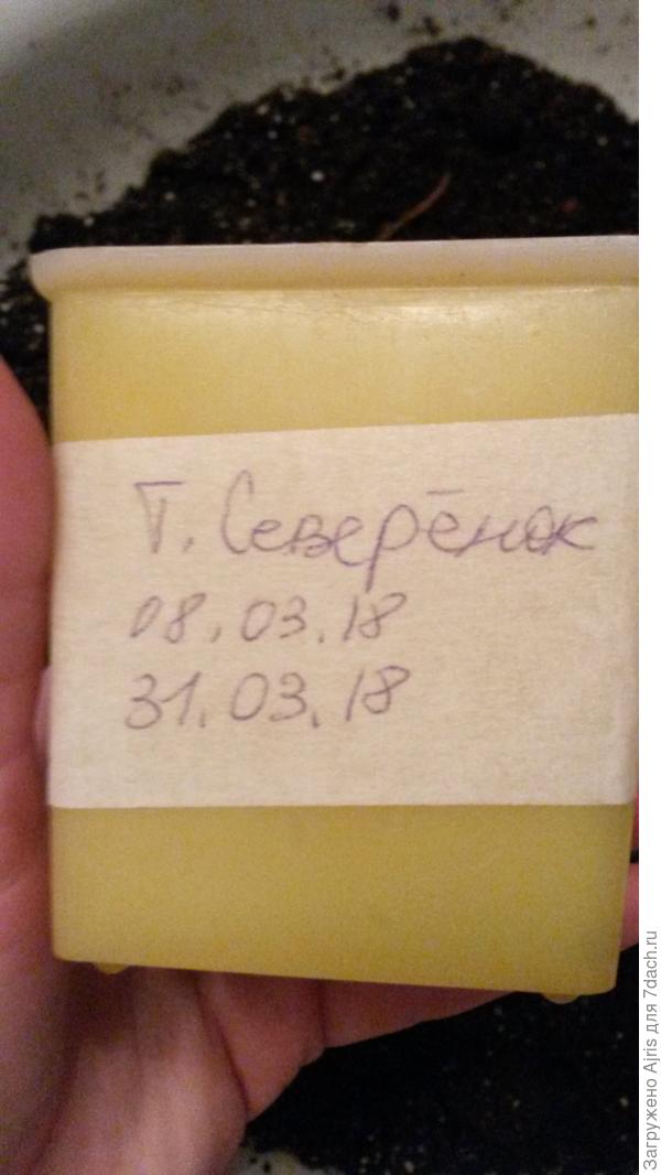 Дата посева и пересадки