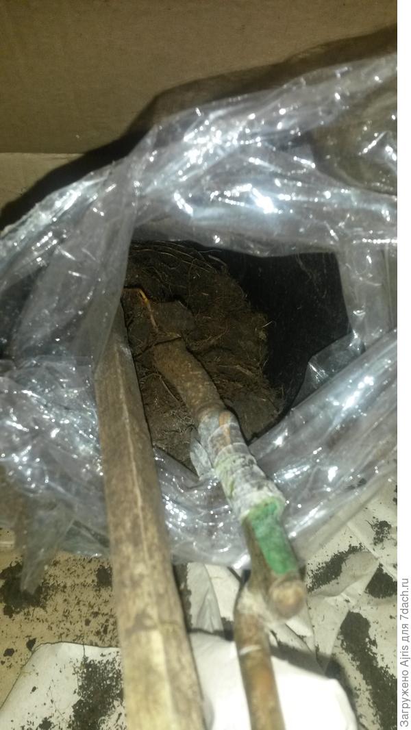 грунт высыпался