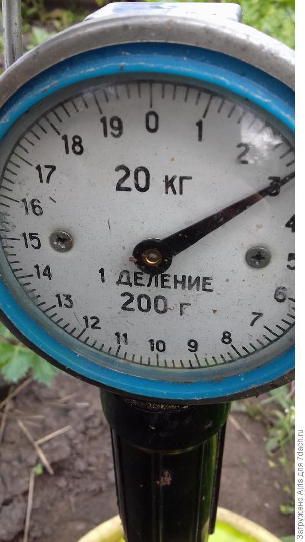 Ого!!! 3кг