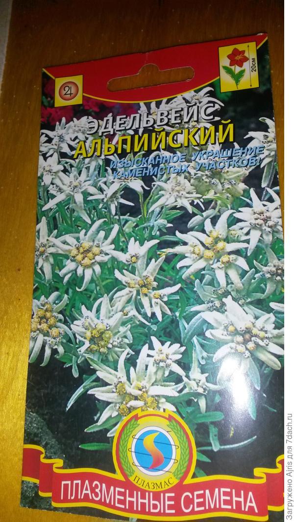 Купила пакетик с семенами
