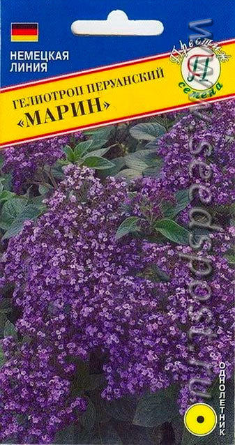Гелиотроп перуанский Марин, Немецкая линия