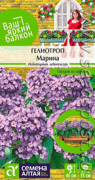 Гелиотроп Марина