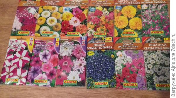 Хризантему и немезию, ясколку и флокс, маттиолу раньше не выращивала, будет первый опыт.