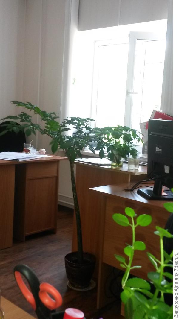 Вот такой он на работе