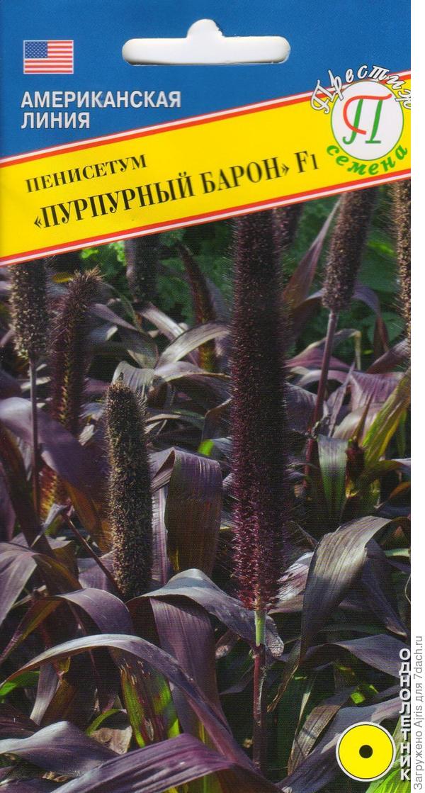 Именно из такого пакетика я сеяла