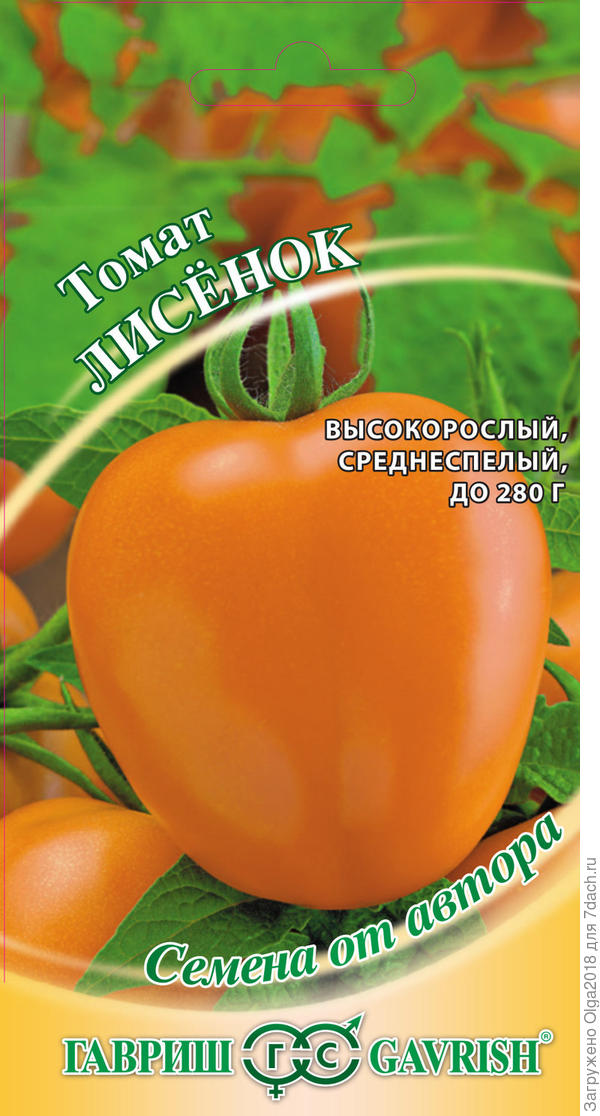 Томат Лисенок