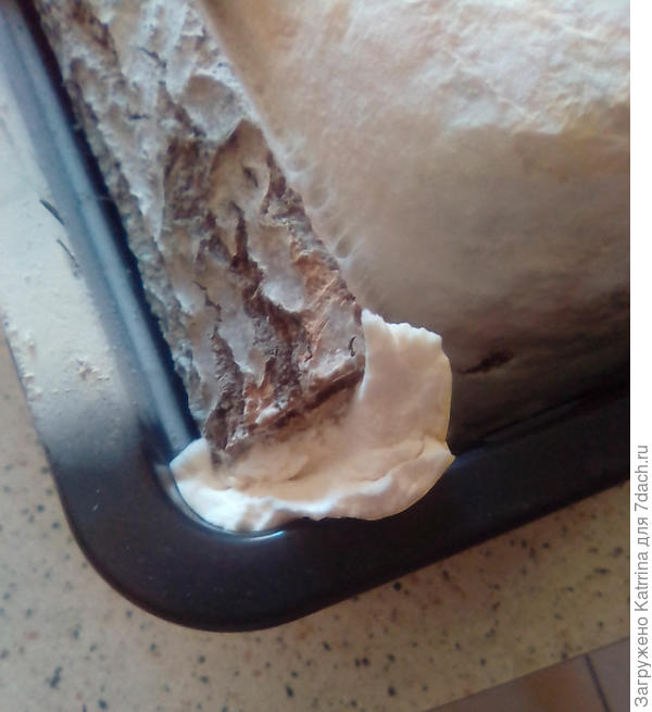 Причём грибы выросли на дровах,а не на блоках)))