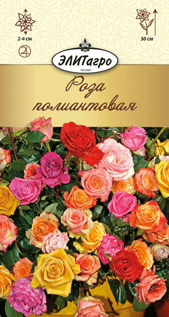 Конкретно эта розочка из этой пачки)))