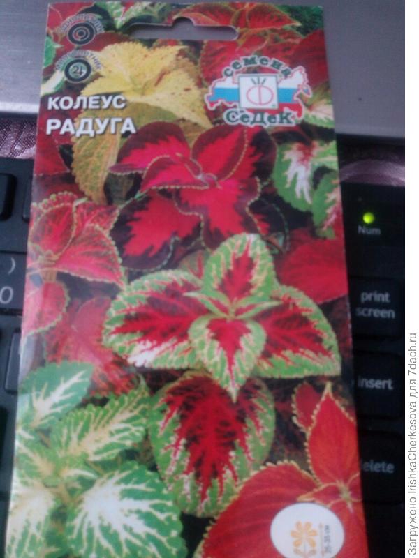 отличные семена