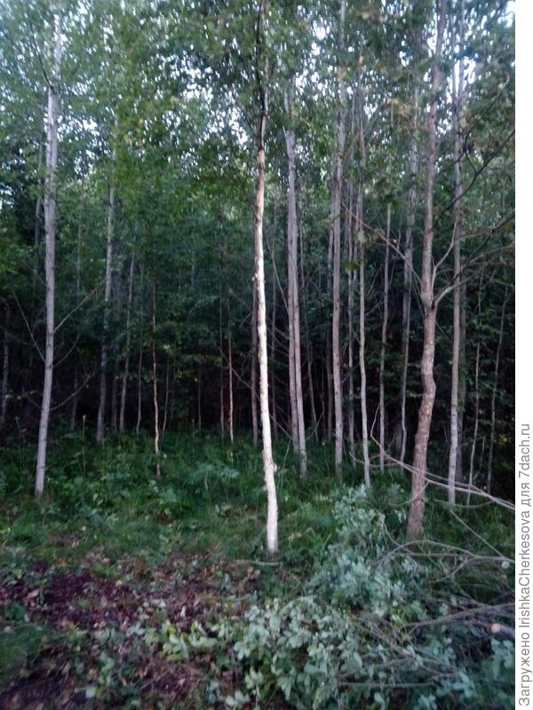 Первый день работы на новом участке