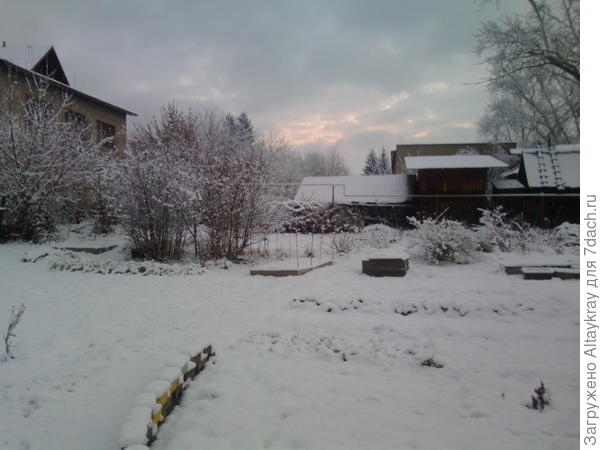 Видно на фото вишнёвые деревья, справа крыжовник и остальные кустарники ягодные снегом припорошенны