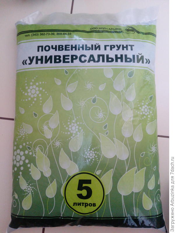 Грунт