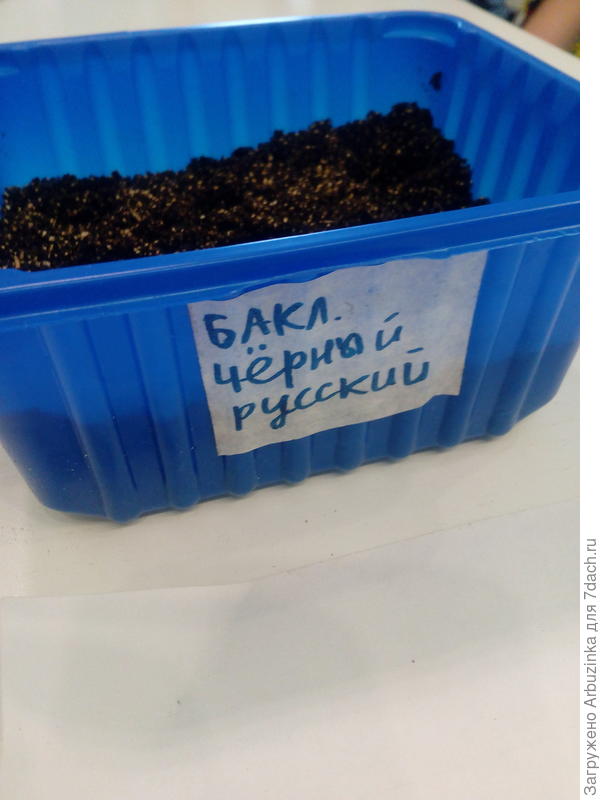 Упакованы