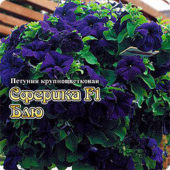 Петуния крупноцветковая Сферика Блю F1, 20 шт. Platinum