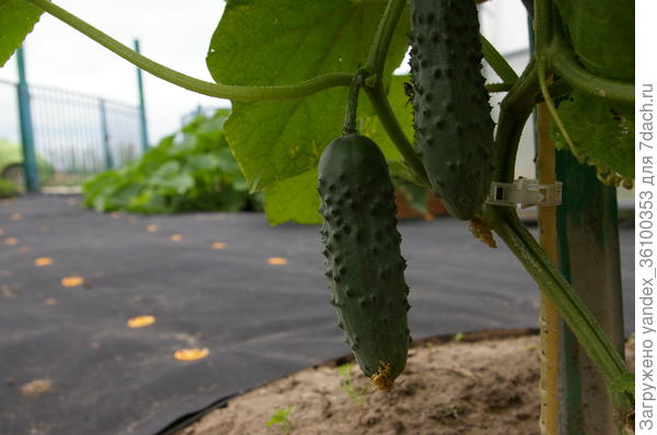 Байконур лето 2018