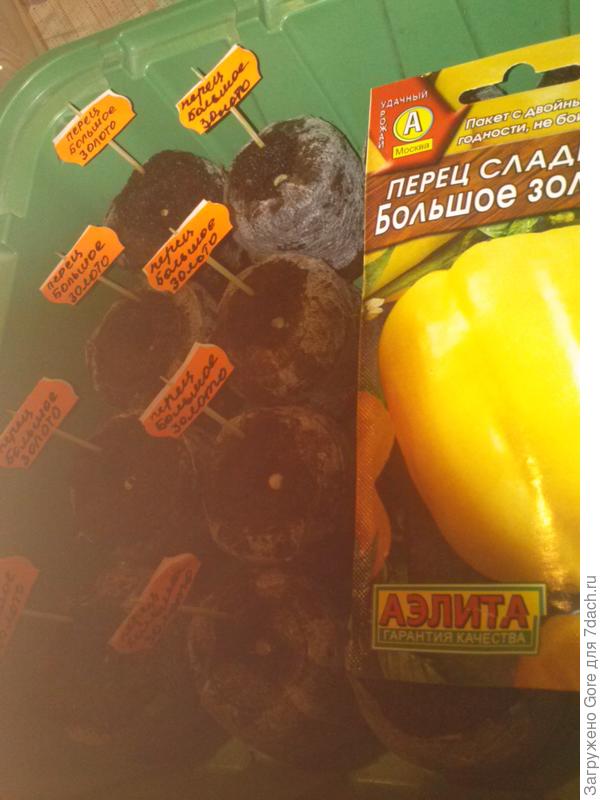 семена в таблетках