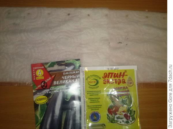 семена на бумаге