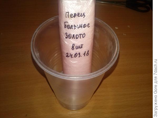 улитка в стакане
