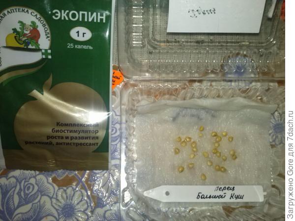 замоченные семена