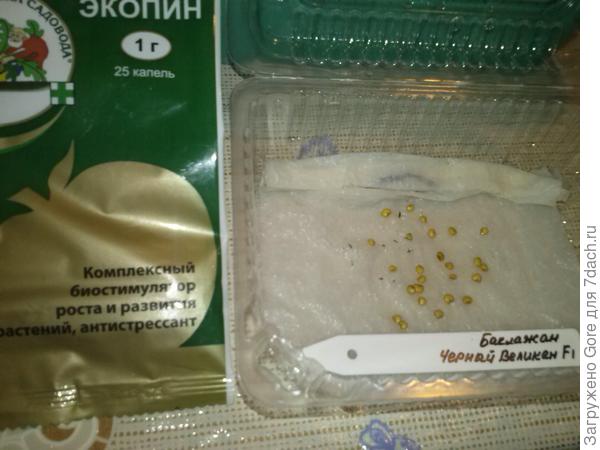 замоченные семена