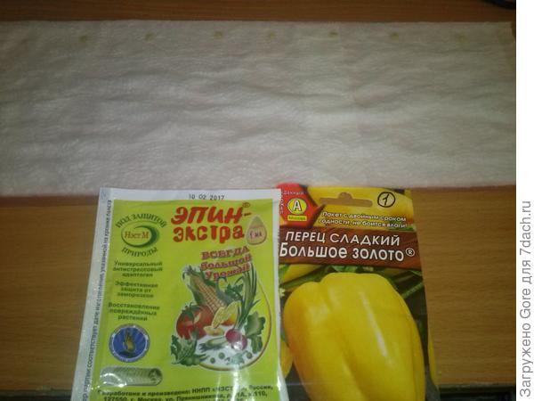 улитка