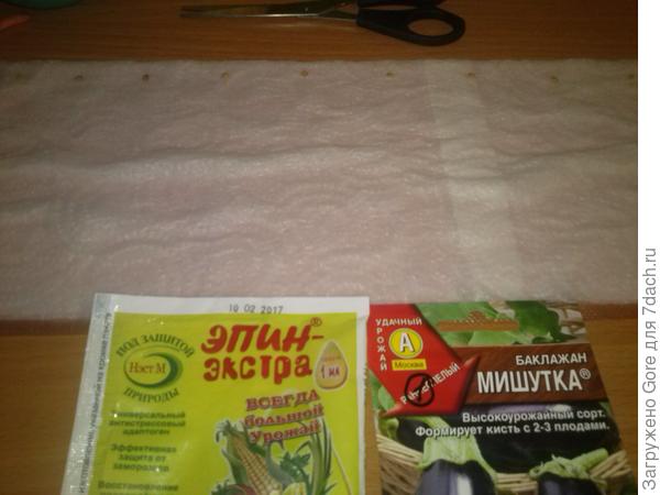 семена на бумаге