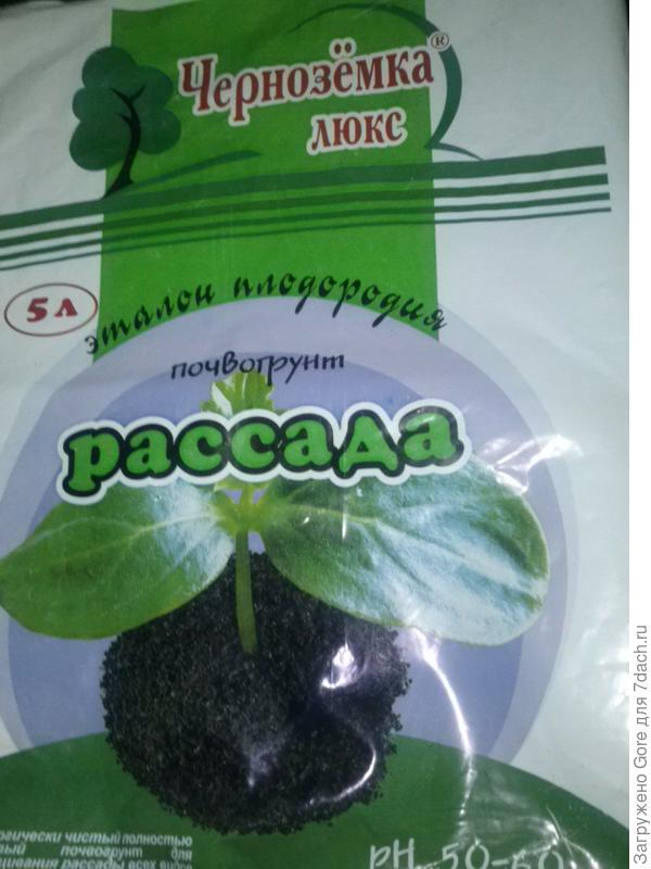 грунт