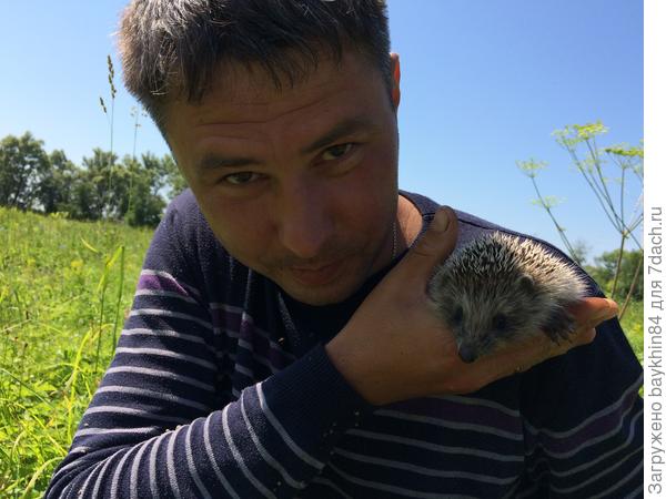 подружились