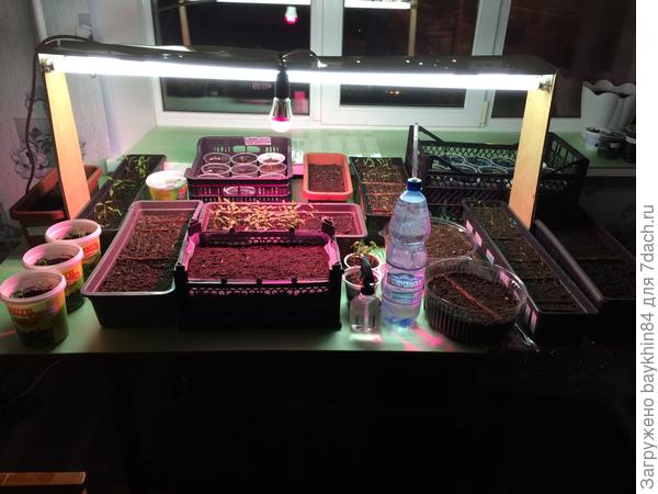 11 марта 2017г