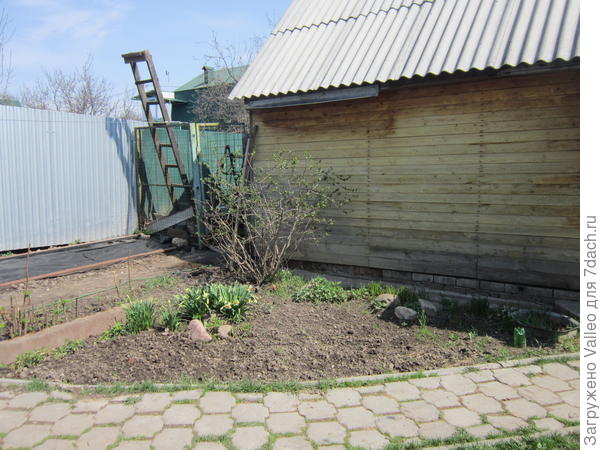 клумба