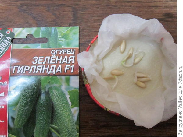 Проклюнулись