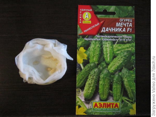 Семена замочены