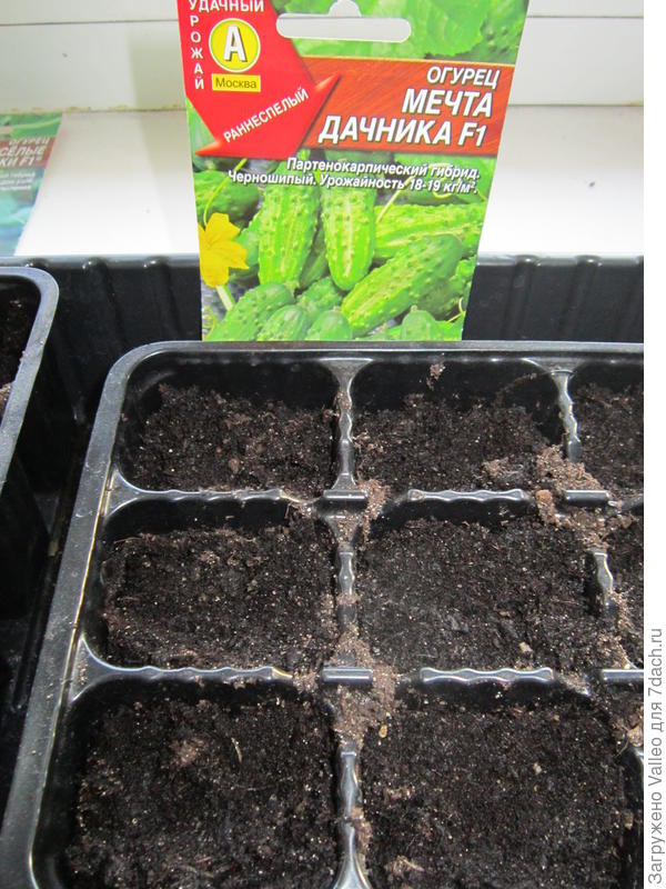 Семена посеяны