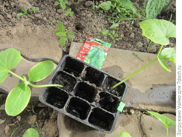 Отобраны для тестирования