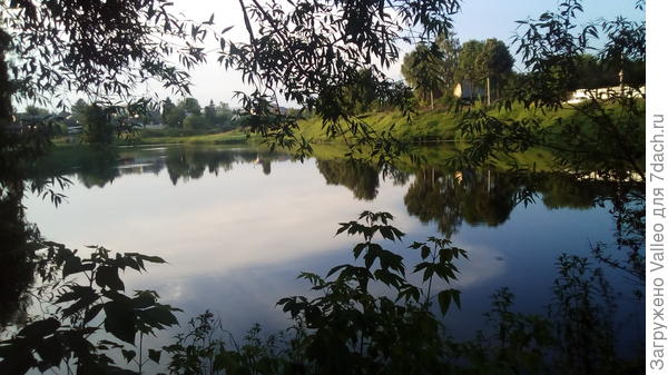 Из-за занавеса...