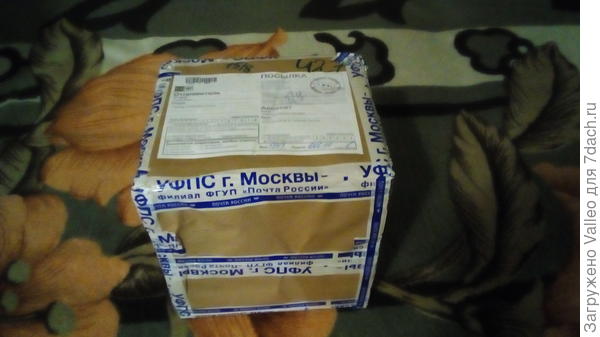 Посылочка дома!