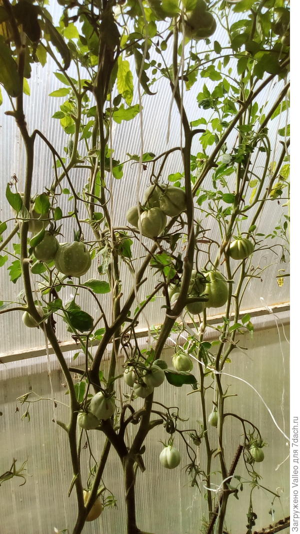 Это сегодня