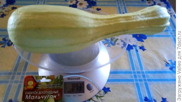 Мальчуган 11