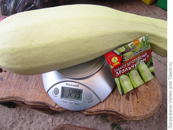 Мальчуган №5