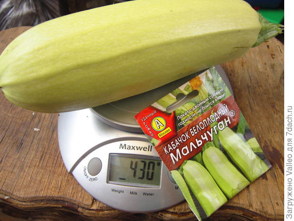 Мальчуган №4